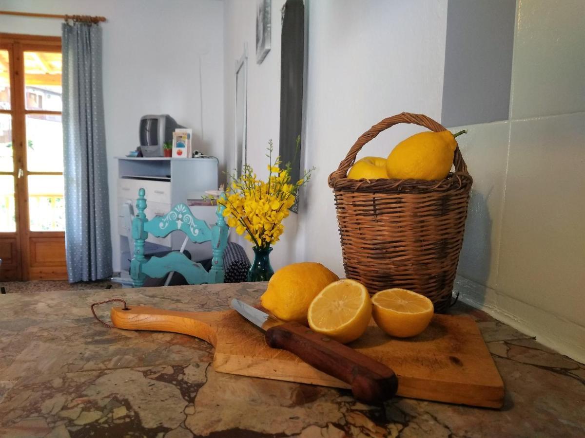 Kotroni Studios مدينة سكياثوس المظهر الخارجي الصورة